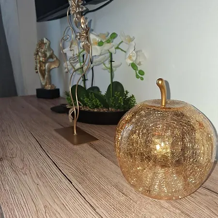 Lazuli Center Ap 11 Daire